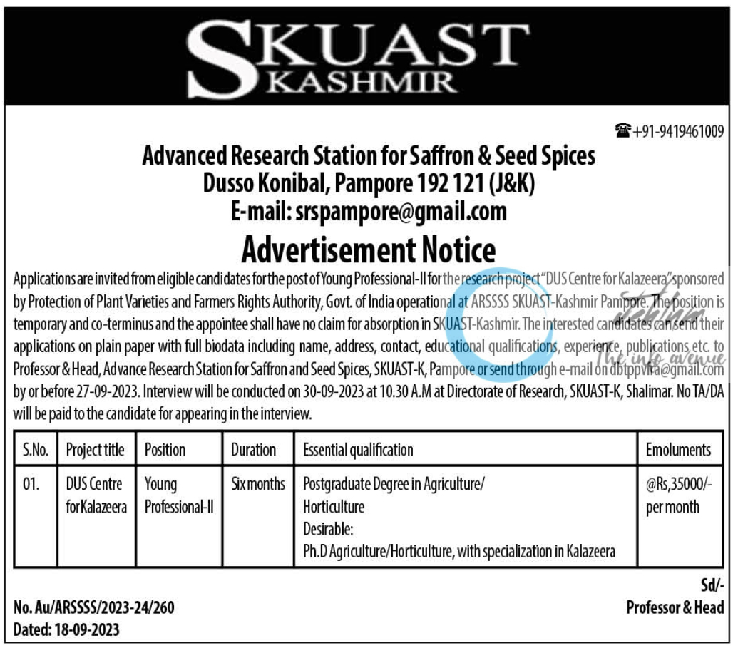 SKUAST Advanced Research Station for Saffron & Seed Spices Pampore Jobs Notification 2023