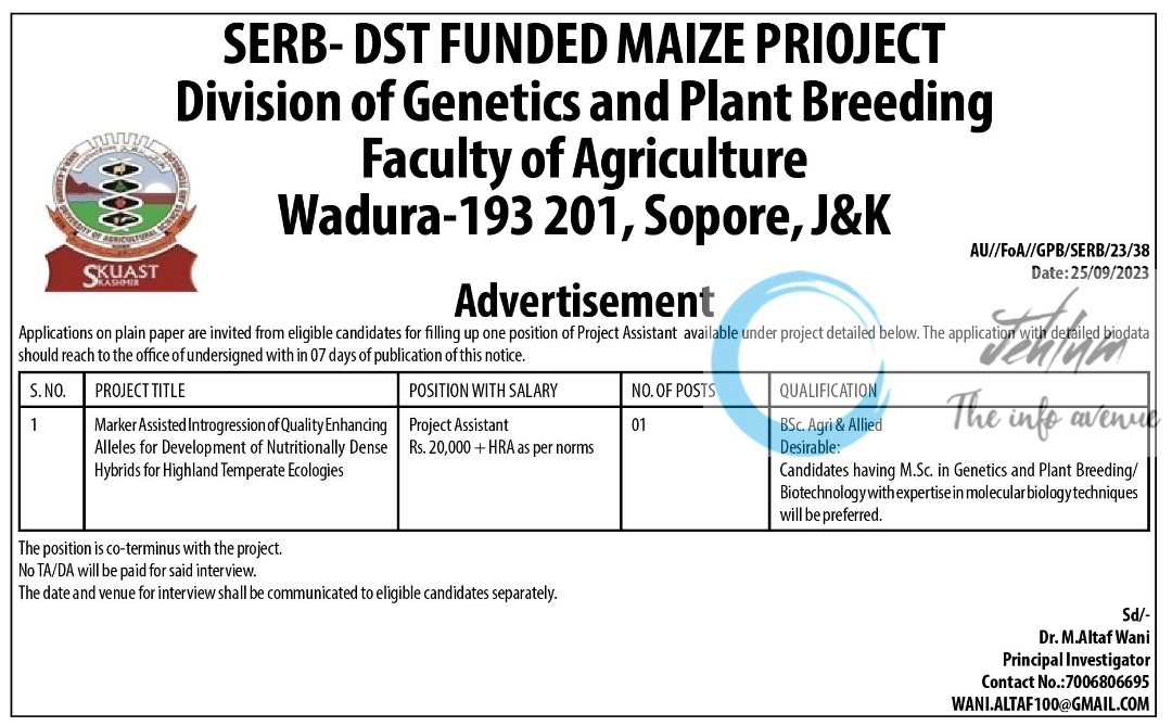SKUAST WADURA SERB-DST FUNDED MAIZE PROJECT ADVERTISEMENT NOTICE 2023