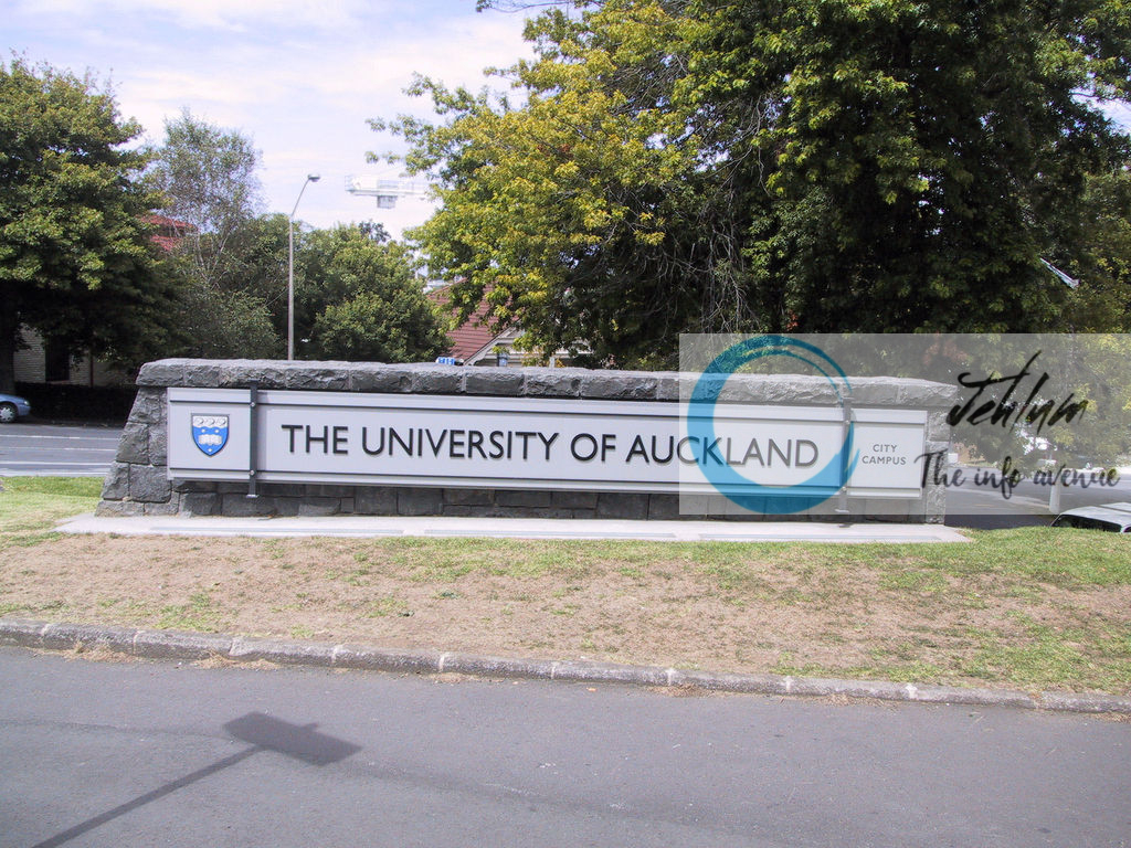 The University of Auckland International Scholarships 2023