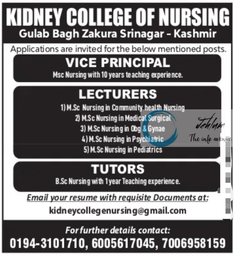 KIDNEY COLLEGE OF NURSING SRINAGAR JOBS 2024 Jehlum The Info Avenue   Screenshot 2024 01 03 03 07 58 79 40deb401b9ffe8e1df2f1cc5ba480b12 768x838 