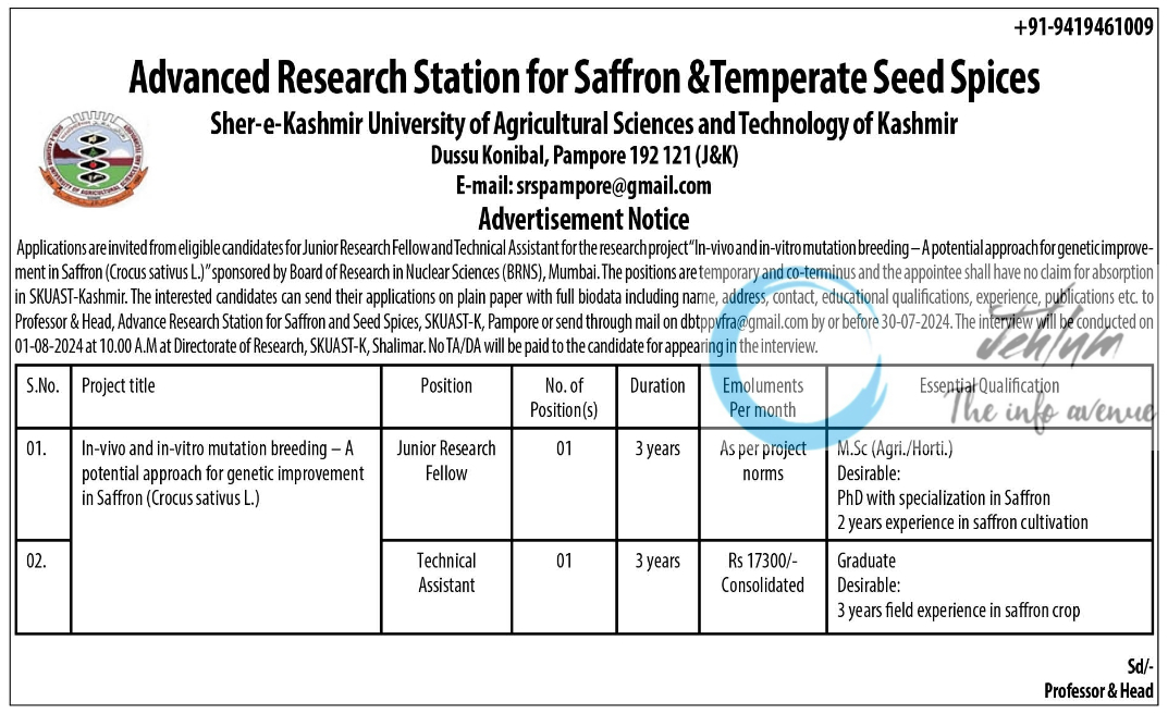 SKUAST Kashmir Advanced Research Station for Saffron & Temperate Seed Spices JRF Notification 2024