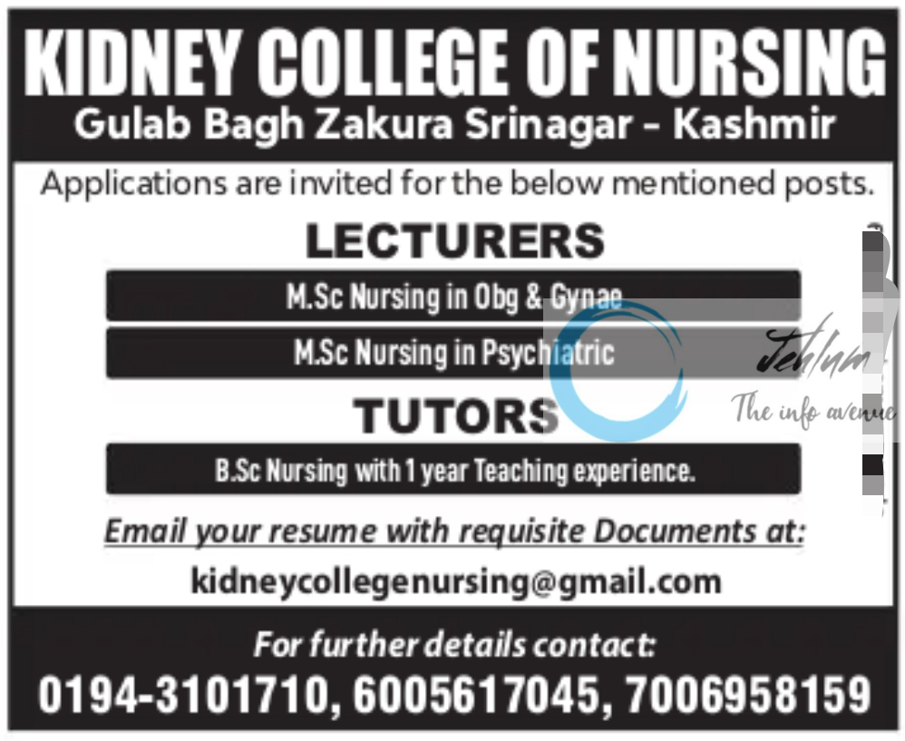 KIDNEY COLLEGE OF NURSING SRINAGAR JOBS OPENINGS 2024