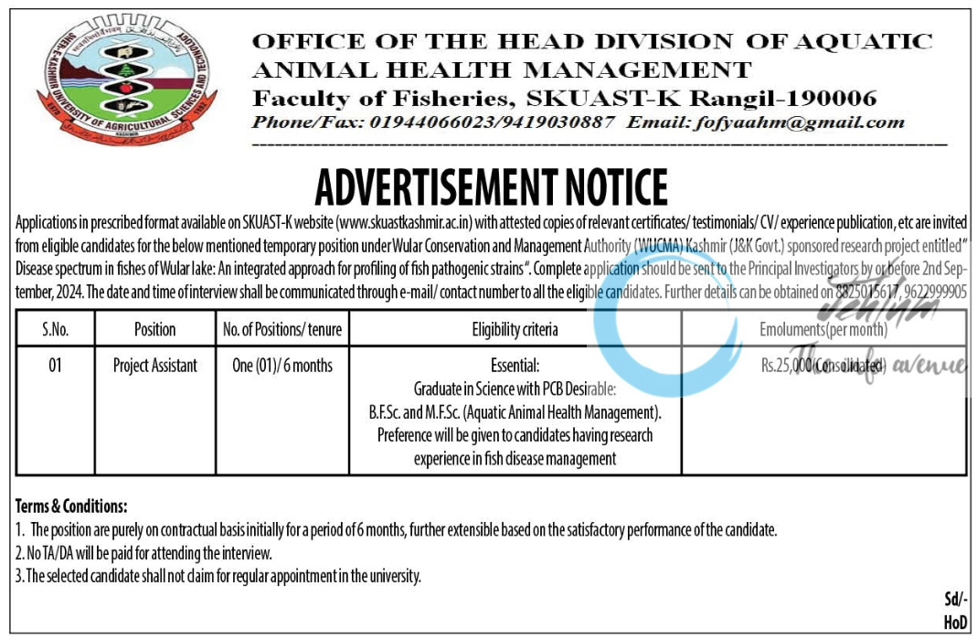 SKUAST KASHMIR DIVISION OF AQUATIC ANIMAL HEALTH MANAGEMENT PROJECT ASSISTANT ADVERTISEMENT NOTICE 2024