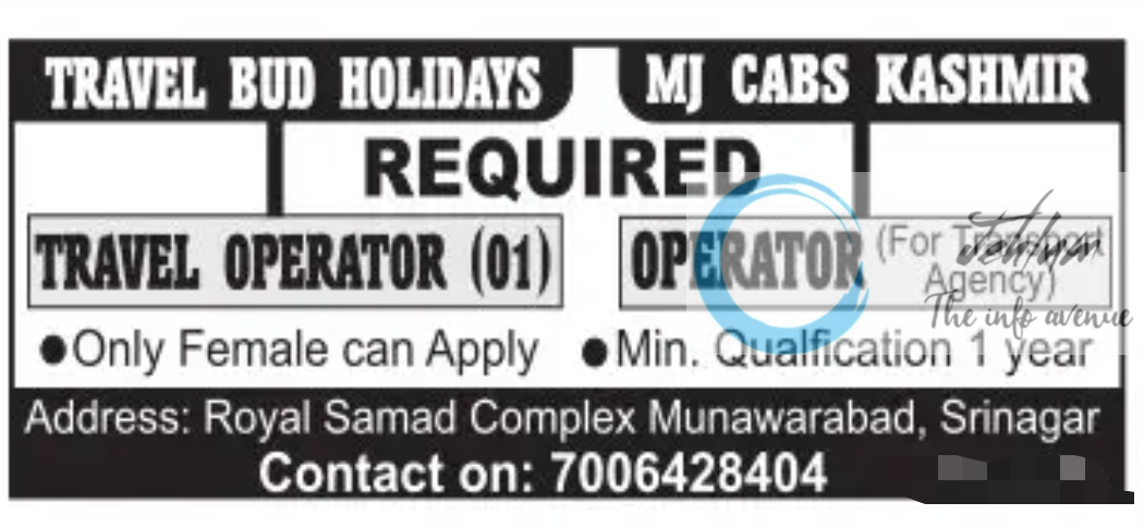 TRAVEL BUD HOLIDAYS SRINAGAR JOBS 2024