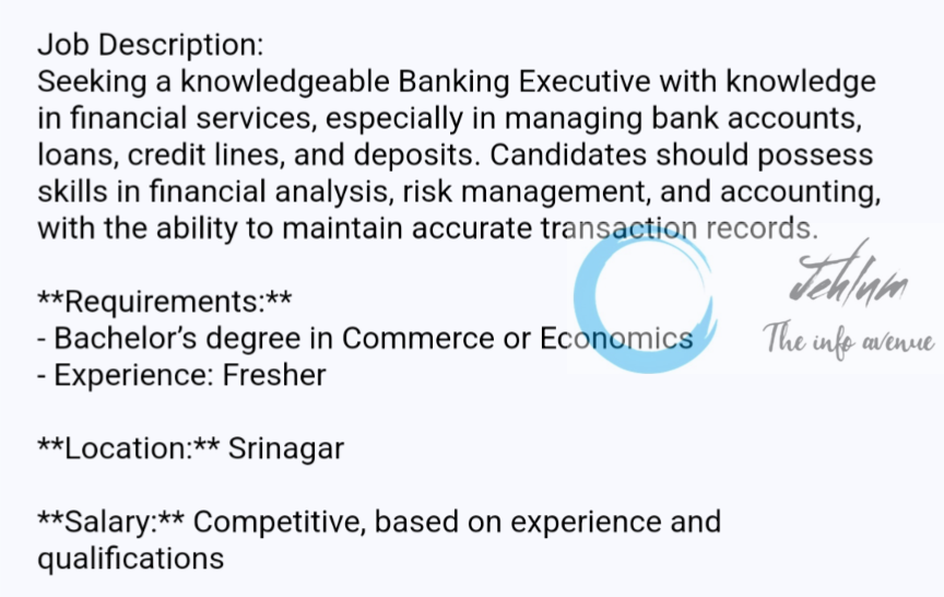 VINSYS IT Services Banking Executive Jobs Opening 2024