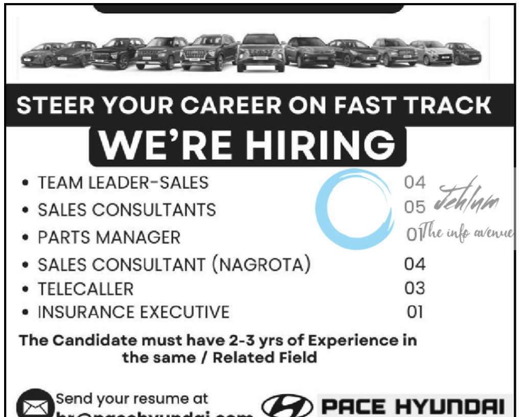 PACE HYUNDAI JAMMU JOBS OPENINGS 2024