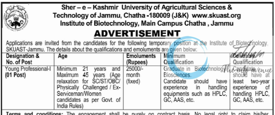 SKUAST-Jammu Institute of Biotechnology Young Professional Advertisement Notice No AUJ/IBT/24-25/F-64/2645-70