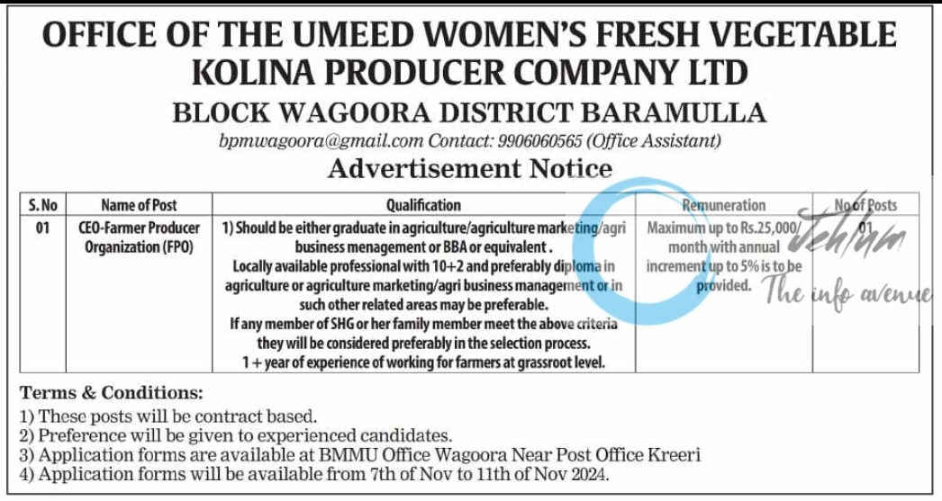 UMEED WOMENS FRESH VEGETABLE KOLINA PRODUCER CO LTD BARAMULLA JOBS OPENINGS 2024