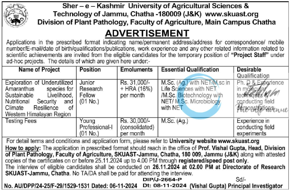 SKUAST Jammu Division of Plant Pathology Faculty of Agriculture Advertisement Notice 2024