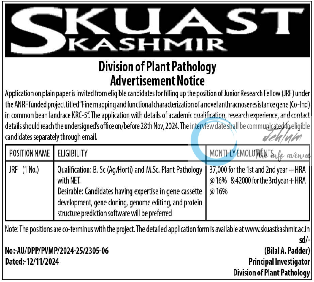 SKUAST Kashmir Division of Plant Pathology JRF Advertisement Notice No AU/DPP/PVMP/2024-25/2305-06