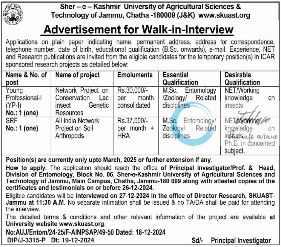 SKUAST Jammu Walk-in-Interview Advertisement No AUJ/Entom/24-25/F-AINPSAP/49-50