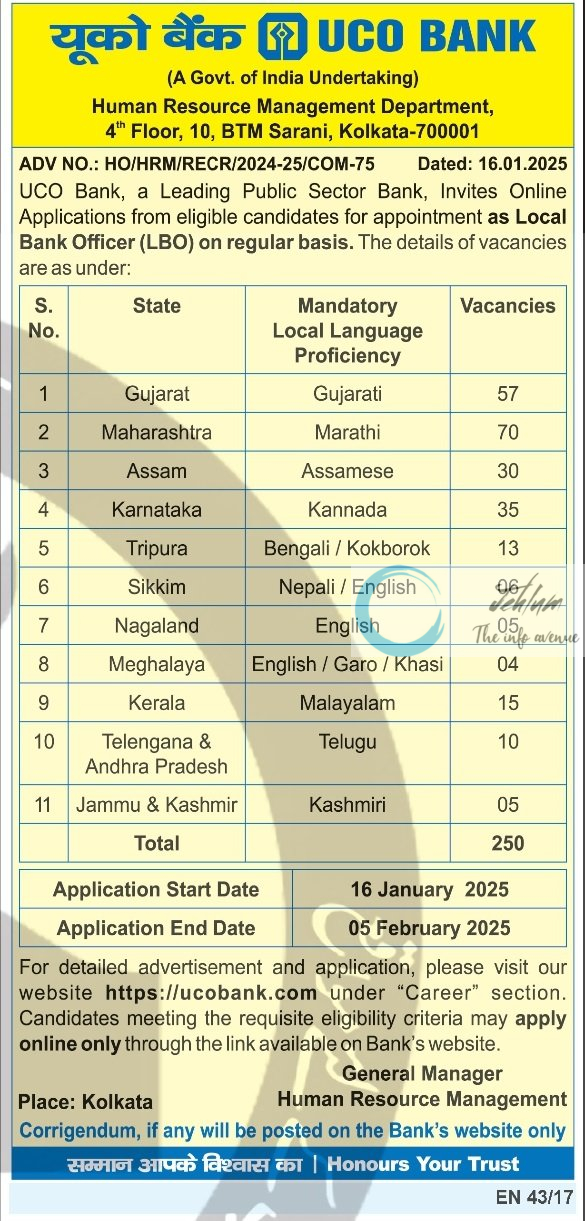 UCO BANK ADVT NO HO/HRM/RECR/2024-25/COM-75