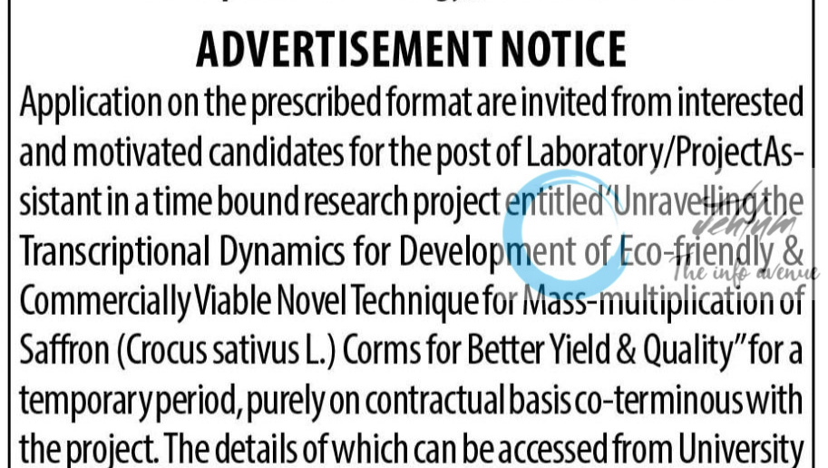 SHER E KASHMIR UNIVERSITY OF AGRICULTURAL SCIENCE & TECHNOLOGY SKUAST KASHMIR DIVISION OF PLANT BIOTECHNOLOGY RECRUITMENT ADVT NOTIFICATION NO AU/FoH/DPB/2025/170