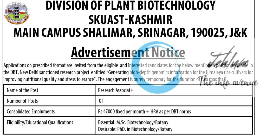 SKUAST KASHMIR DIVISION OF PLANT BIOTECHNOLOGY SRINAGAR RESEARCH ASSOCIATE RECRUITMENT ADVT NOTIFICATION 2025