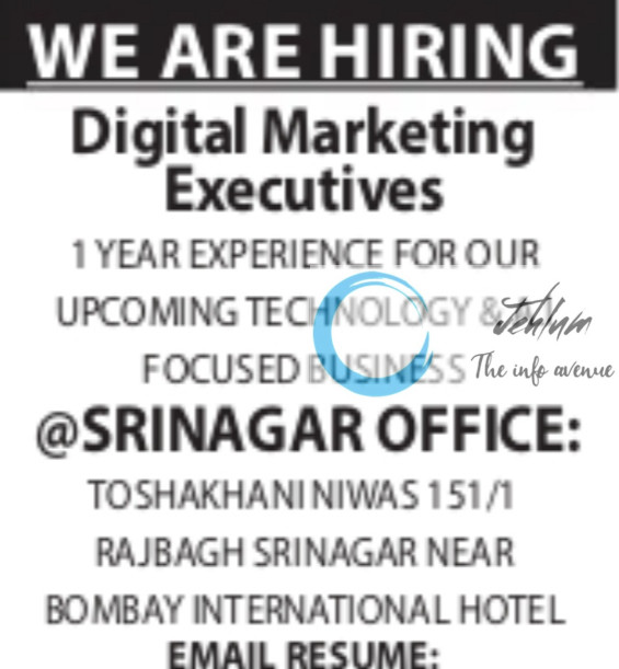 INDIA TECH WIZARDS SRINAGAR DIGITAL MARKETING EXECUTIVE JOBS VACANCY 2025