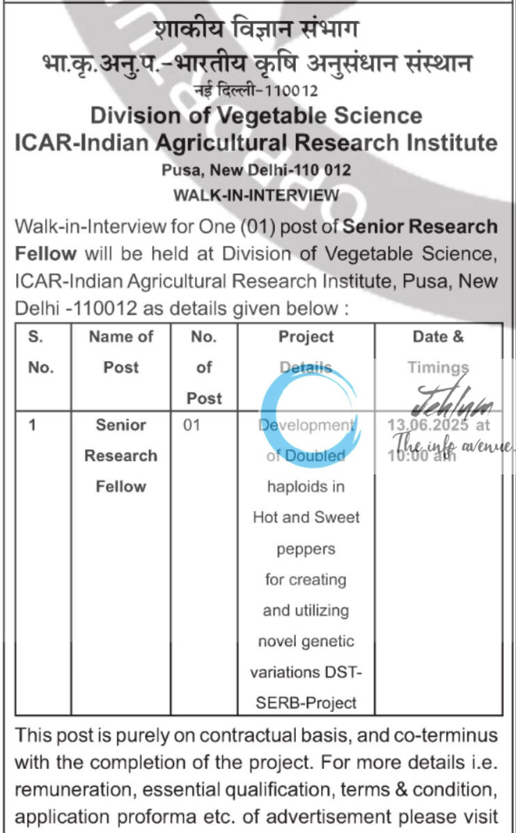 ICAR IARI DIVISION OF VEGETABLE SCIENCE SRF RECRUITMENT ADVT NOTIFICATION 2025