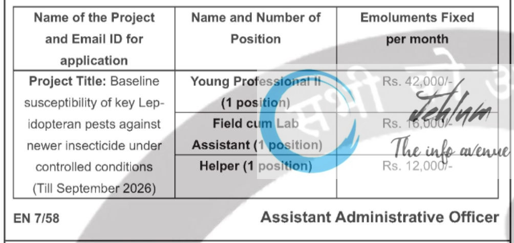 ICAR IARI DIVISION OF ENTOMOLOGY RECRUITMENT ADVT NOTIFICATION 2025