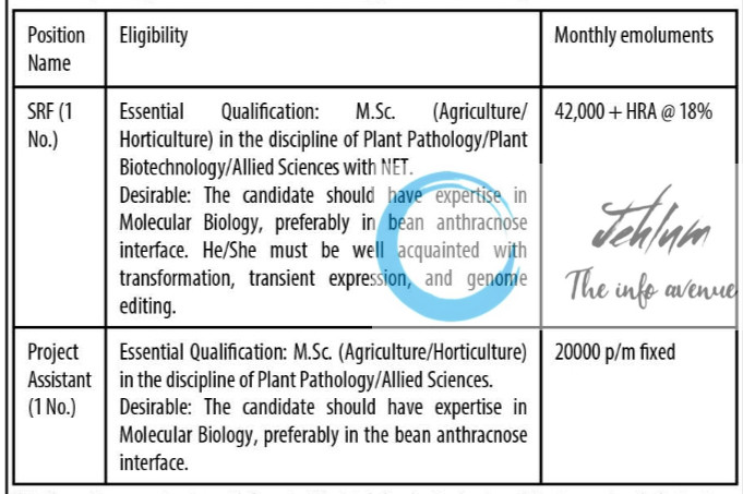 SKUAST KASHMIR DIVISION OF PLANT PATHOLOGY RECRUITMENT ADVT NOTIFICATION NO AU/DPP/PVMP/2025/2443