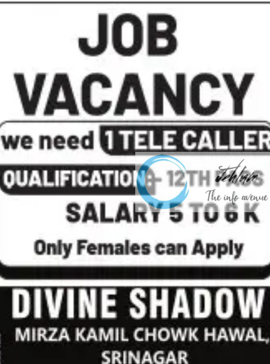 DIVINE SHADOW SRINAGAR TELECALLER JOBS VACANCY 2025