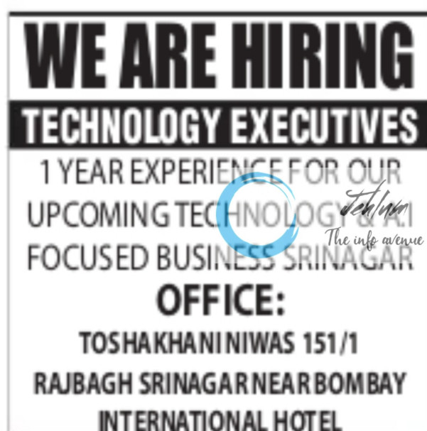 INDIA TECH WIZARDS SRINAGAR TECHNOLOGY EXECUTIVES JOBS VACANCY 2025