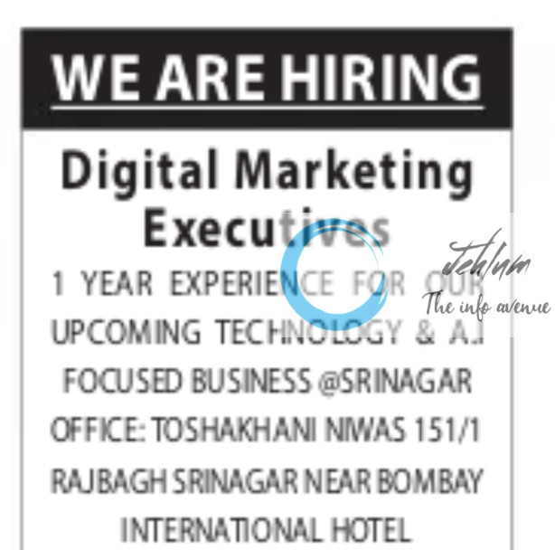 INDIA TECH WIZARDS SRINAGAR JOBS OPENING 2025