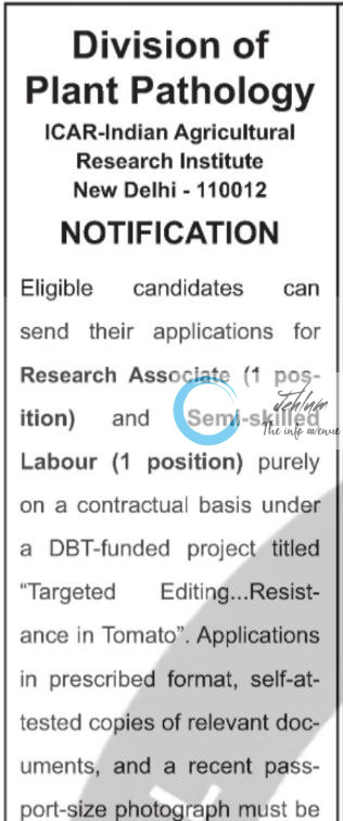 ICAR IARI DIVISION OF PLANT PATHOLOGY RECRUITMENT ADVT NOTIFICATION 2025