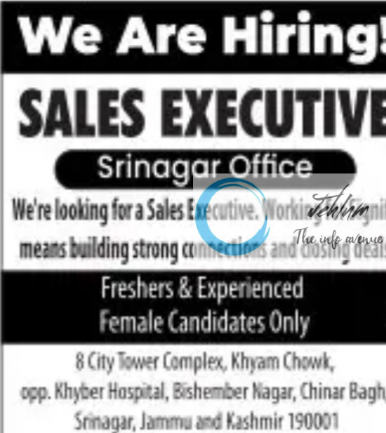 SHINING STAR HOLIDAYS SRINAGAR SALES EXECUTIVE JOBS OPENING 2025