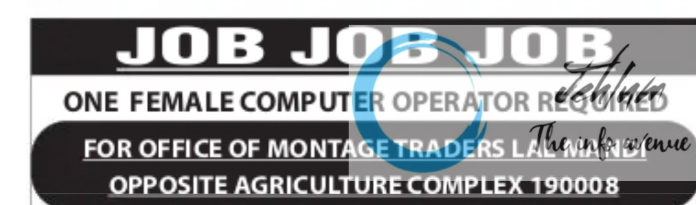 MONTAGE TRADERS SRINAGAR COMPUTER OPERATOR JOBS OPENING 2025
