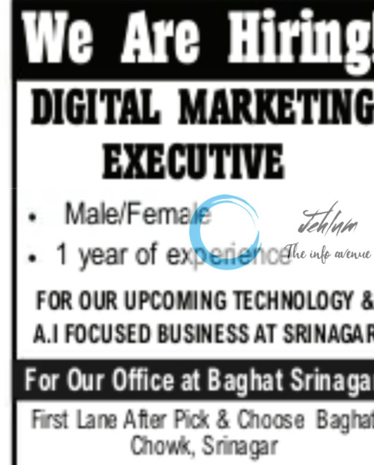 INDIA TECH WIZARDS SRINAGAR DIGITAL MARKETING EXECUTIVE JOBS OPENING 2025