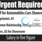 DNS CARS JAMMU JOBS OPENING 2025