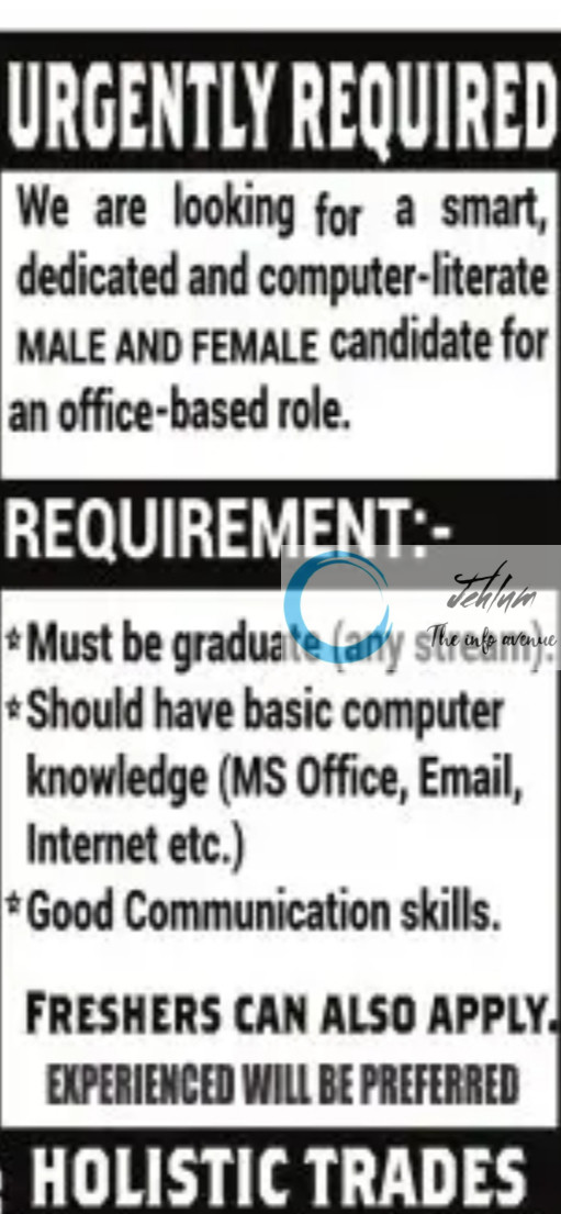 HOLISTIC TRADES SRINAGAR OFFICE STAFF JOBS OPENING 2025