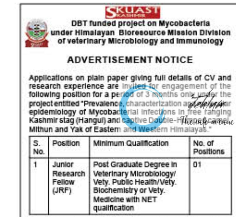 SKUAST K DIVISION OF VETERINARY MICROBIOLOGY AND IMMUNOLOGY JRF RECRUITMENT ADVT NOTIFICATION 2025