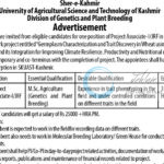 SKUAST K DIVISION OF GENETICS AND PLANT BREEDING JRF JOB OPPORTUNITIES NOTICE 2025