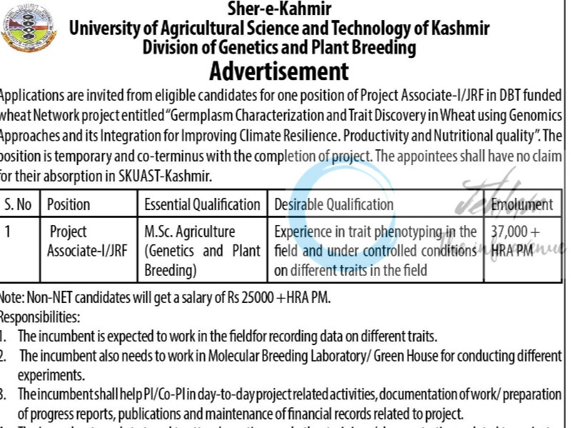 SKUAST K DIVISION OF GENETICS AND PLANT BREEDING JRF JOB OPPORTUNITIES NOTICE 2025