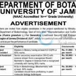 University of Jammu JU Botany Department Project Associate Field Assistant Jobs Opportunity DIP/J-1748-P 2025