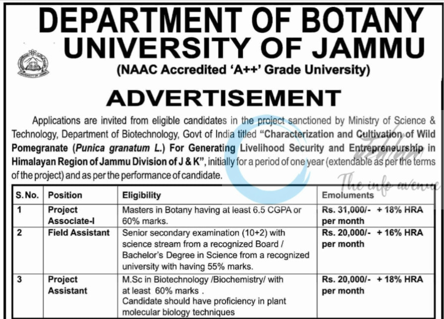 University of Jammu JU Botany Department Project Associate Field Assistant Jobs Opportunity DIP/J-1748-P 2025