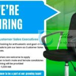 TECHMAVEN INNOVATES PVT LTD SRINAGAR CUSTOMER SALES EXECUTIVES JOB OPPORTUNITIES 2025