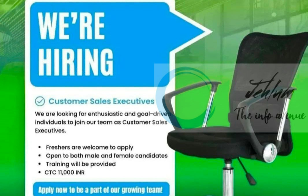 TECHMAVEN INNOVATES PVT LTD SRINAGAR CUSTOMER SALES EXECUTIVES JOB OPPORTUNITIES 2025