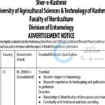 SKUAST K FACULTY OF HORTICULTURE DIVISION OF ENTOMOLOGY BEE PROFESSIONAL JOB OPPORTUNITIES 2025