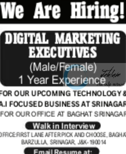 INDIA TECH WIZARDS SRINAGAR DIGITAL MARKETING EXECUTIVE JOB OPPORTUNITIES 2025 2 INDIA TECH WIZARDS SRINAGAR DIGITAL MARKETING EXECUTIVE JOB OPPORTUNITIES 2025