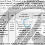 DEPARTMENT OF EMPOWERMENT OF PERSONS WITH DISABILITIES DIVYANGJAN YOUNG PROFESSIONALS JOB OPPORTUNITIES NOTICE A-42018/28/2022