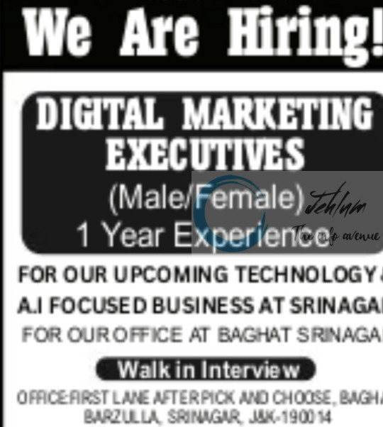 INDIA TECH WIZARDS SRINAGAR DIGITAL MARKETING EXECUTIVE JOB OPPORTUNITIES 2025