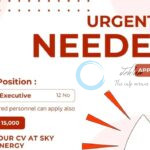 SKY LIGHT ENERGY SRINAGAR SALES EXECUTIVE JOB OPPORTUNITIES 2025