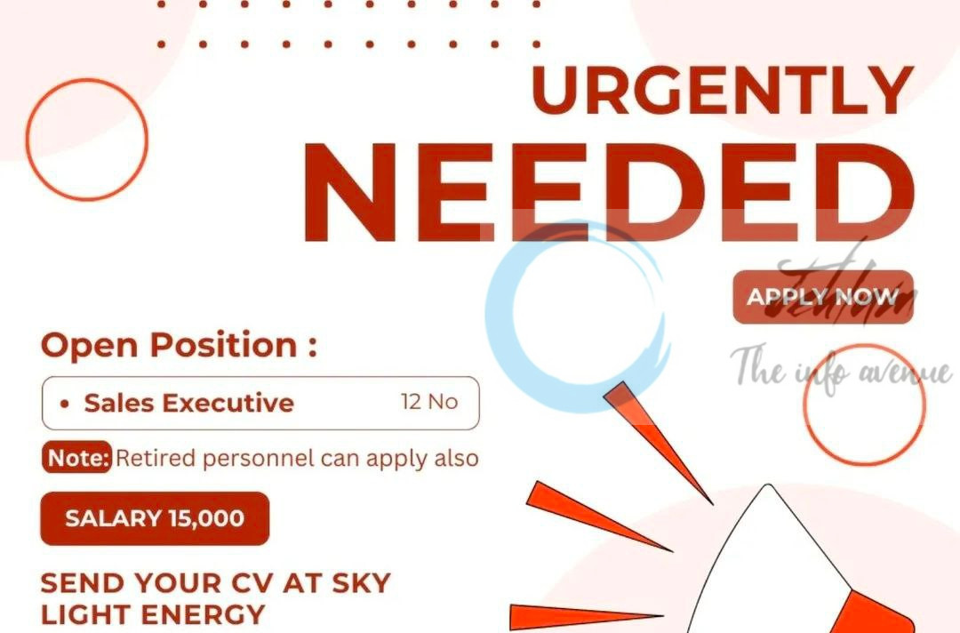 SKY LIGHT ENERGY SRINAGAR SALES EXECUTIVE JOB OPPORTUNITIES 2025
