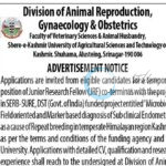SKUAST K DIVISION OF ANIMAL REPRODUCTION GYNAECOLOGY OBSTETRICS HIRING JRF JOB OPPORTUNITIES NOTICE DIPK/NB/1761/25