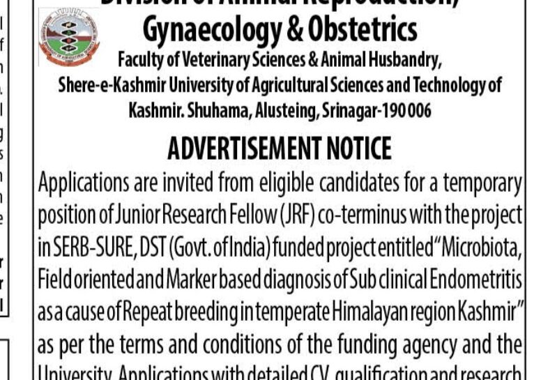 SKUAST K DIVISION OF ANIMAL REPRODUCTION GYNAECOLOGY OBSTETRICS HIRING JRF JOB OPPORTUNITIES NOTICE DIPK/NB/1761/25 SKUAST K DIVISION OF ANIMAL REPRODUCTION GYNAECOLOGY OBSTETRICS HIRING JRF JOB OPPORTUNITIES NOTICE DIPK/NB/1761/25