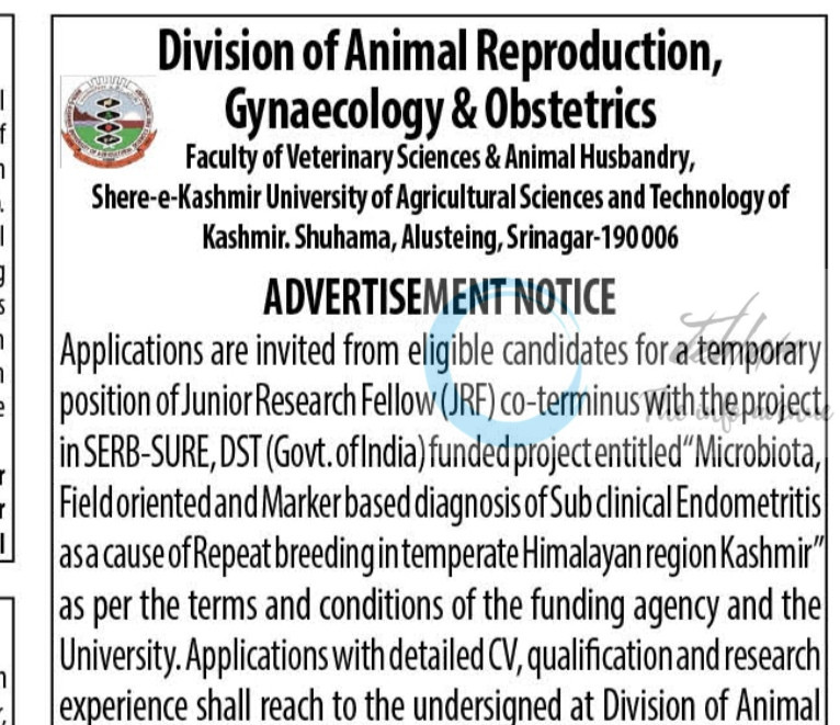 SKUAST K DIVISION OF ANIMAL REPRODUCTION GYNAECOLOGY OBSTETRICS HIRING JRF JOB OPPORTUNITIES NOTICE DIPK/NB/1761/25