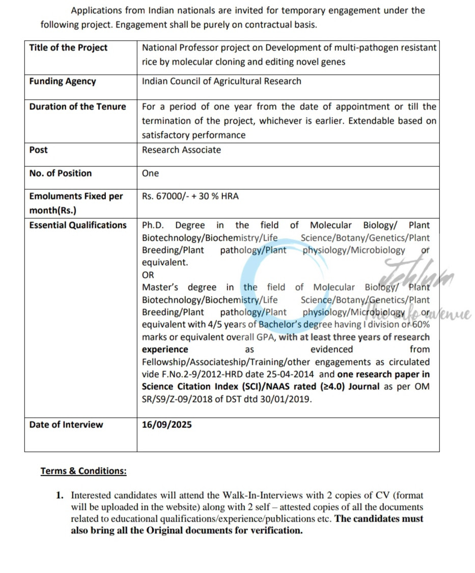 ICAR NATIONAL INSTITUTE PLANT BIOTECHNOLOGY NIPB NEW DELHI RA Walk IN INTERVIEW ADVERTISEMENT NO 2001-2014/373337/RA/2025