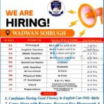 SENIOR DELHI INTERNATIONAL SCHOOL SDIS SOIBUGH HIRING TEACHING STAFF PREMIER OPPORTUNITY 2025