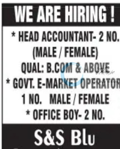 S AND S BLU JOBS URGENT REQUIREMENT 2025